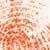 Effectiveness of DNA Identifiers