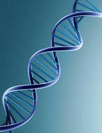 Dna Replication Coding Proteins Overview