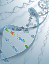 Dna Evolve Evolution Evolutionary Theory