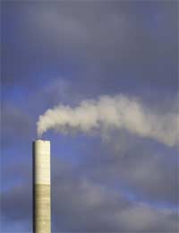 Pollution Dna Mutations Respiratory