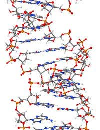 Dna Life Forms Riboswitches Research Rna