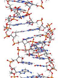 Dna Real Life Example DNA and Other Life Forms | Explore DNA